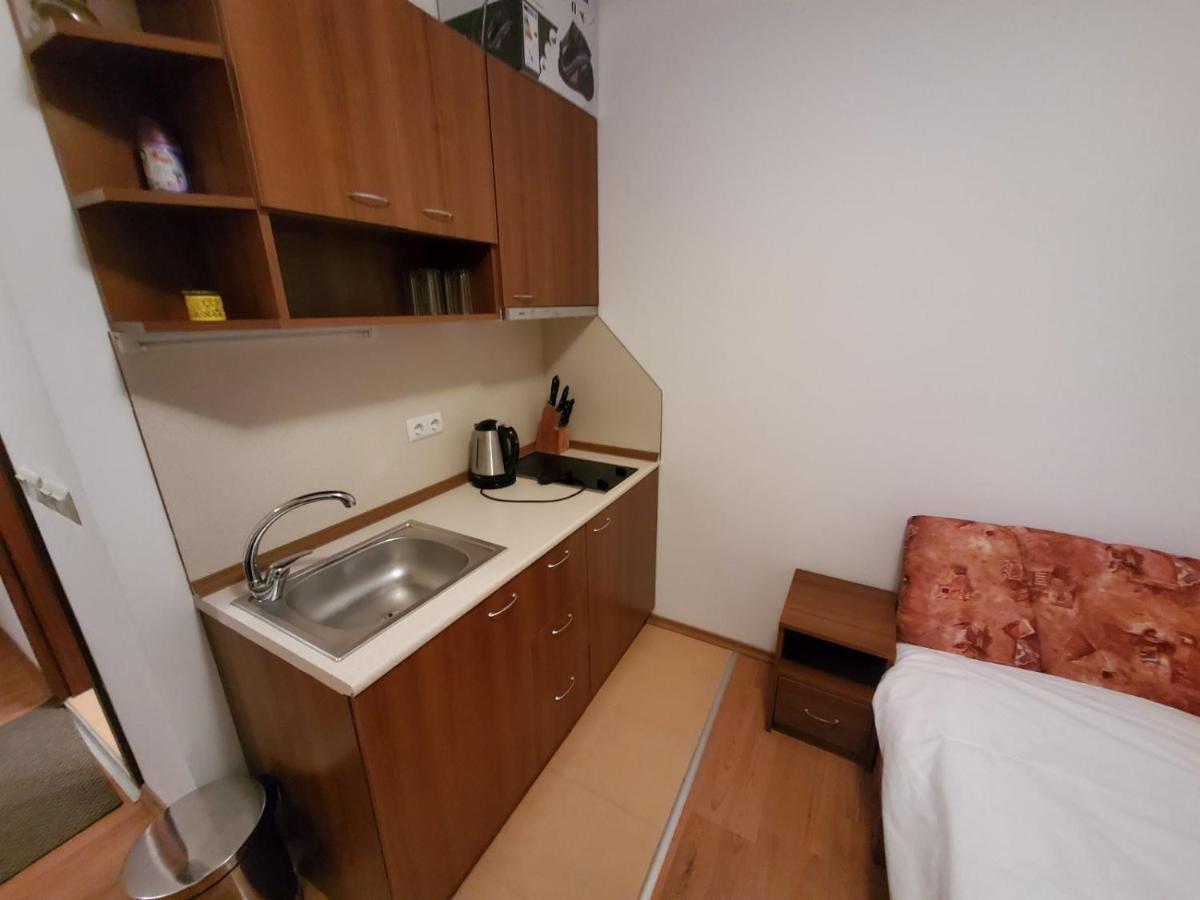 Apartament Апартамент Детелина Bansko Zewnętrze zdjęcie