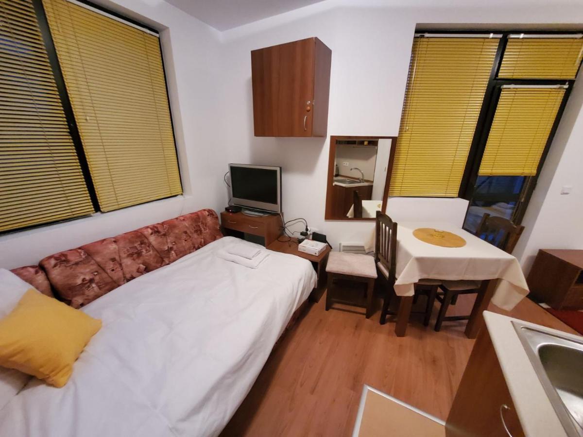 Apartament Апартамент Детелина Bansko Zewnętrze zdjęcie