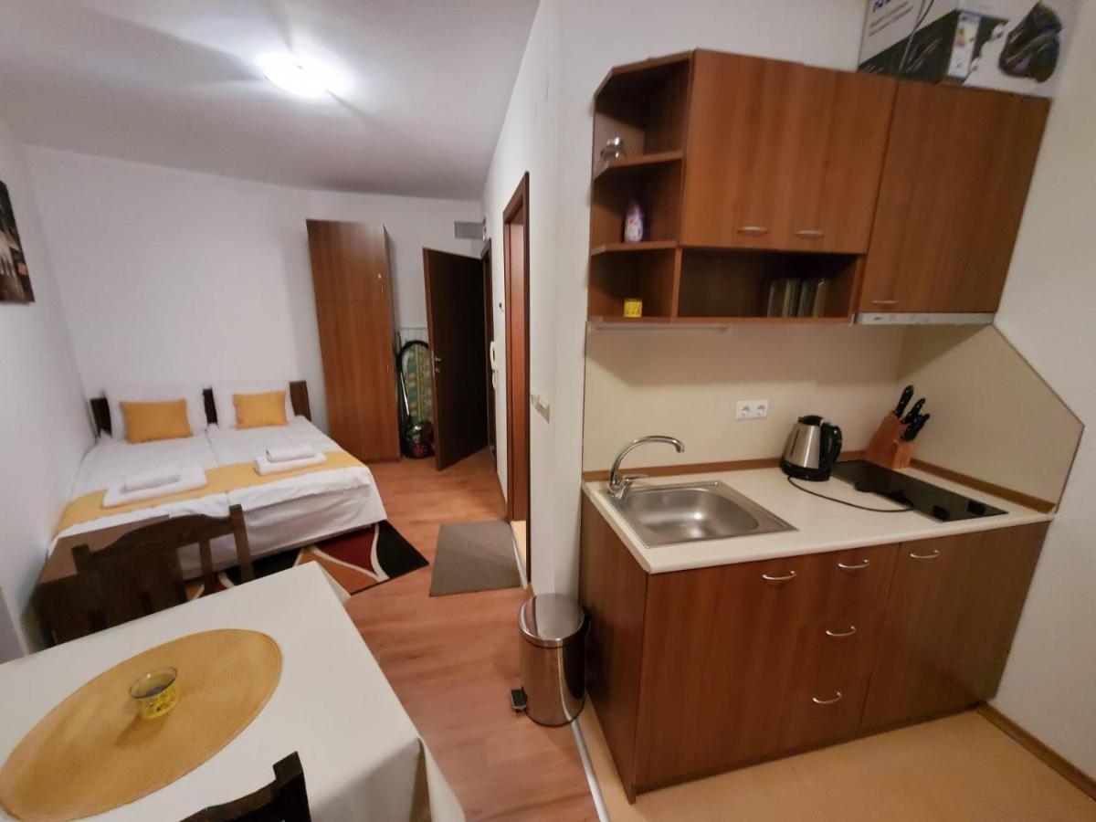 Apartament Апартамент Детелина Bansko Zewnętrze zdjęcie